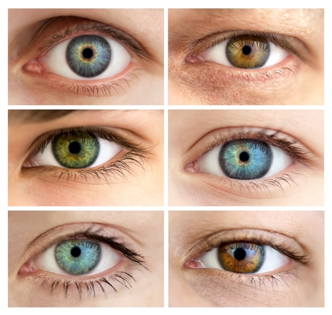 Amber and Hazel Eyes: Unraveling the Mysteries of These Unique Eye