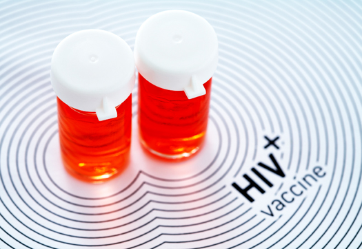 New Insights Into HIV For Possible Vaccine